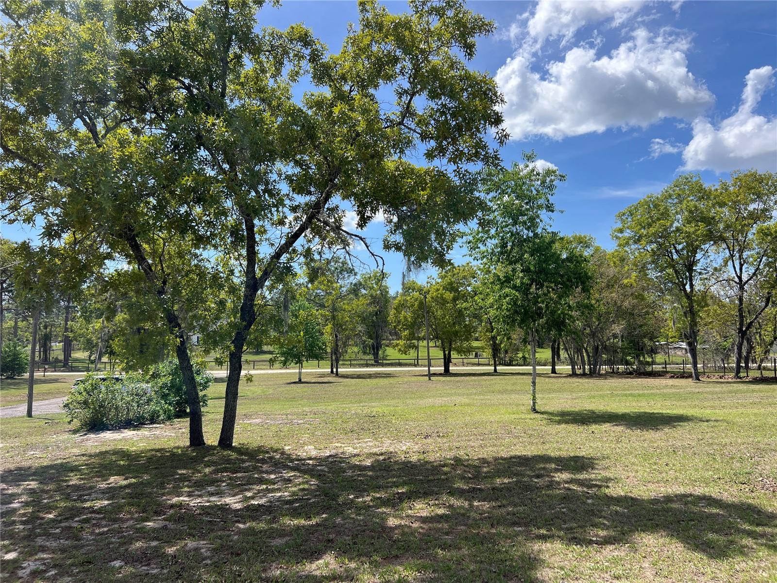 5351 NE 121ST TER, WILLISTON, FL, 32696