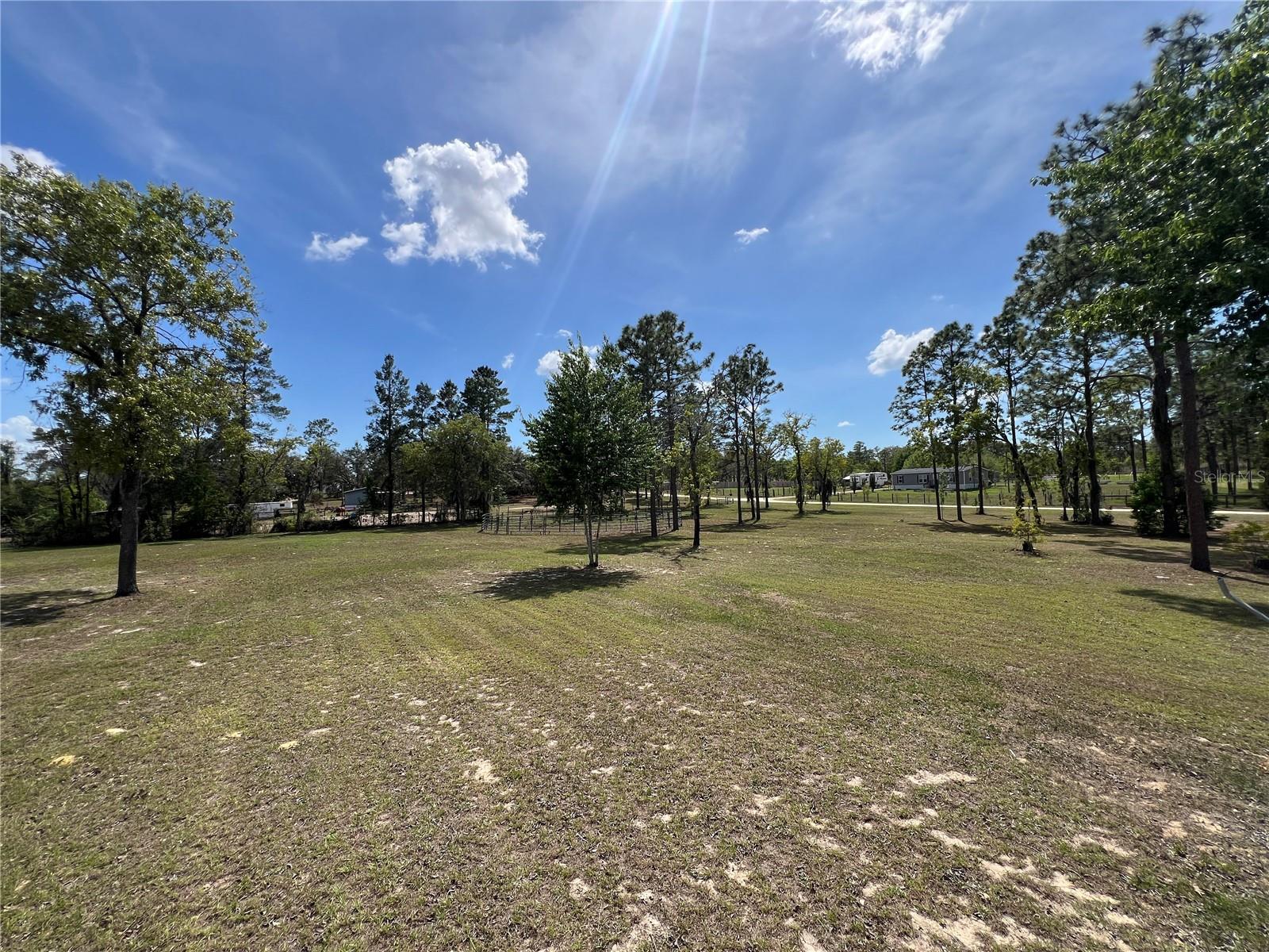 5351 NE 121ST TER, WILLISTON, FL, 32696