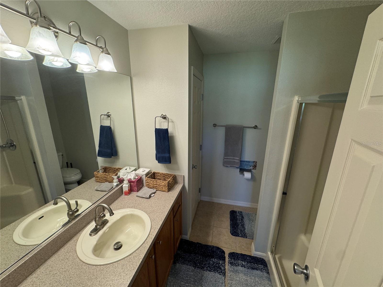 9551 SE 168TH ELDERBERRY PL, THE VILLAGES, FL, 32162