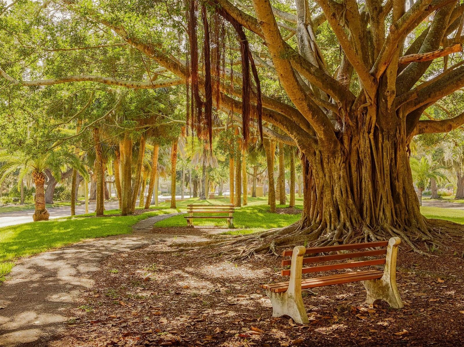 2972 ARGYLE RD, VENICE, FL, 34293