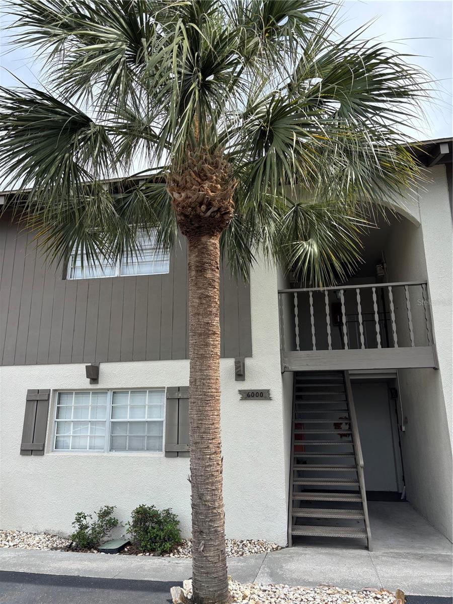 6000 1ST AVE S #14, ST PETERSBURG, FL, 33707