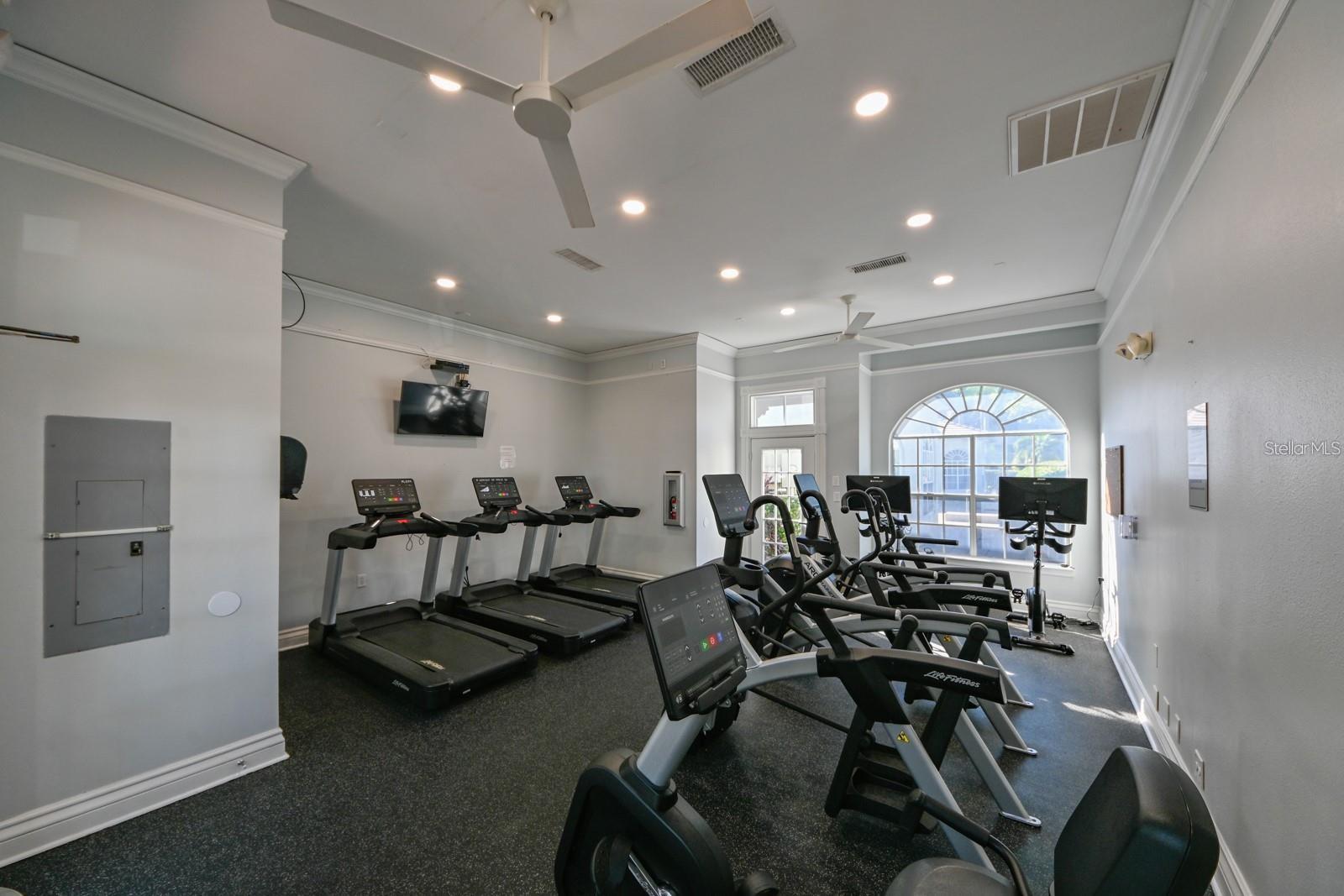 756 CORAL REEF DR, TAMPA, FL, 33602