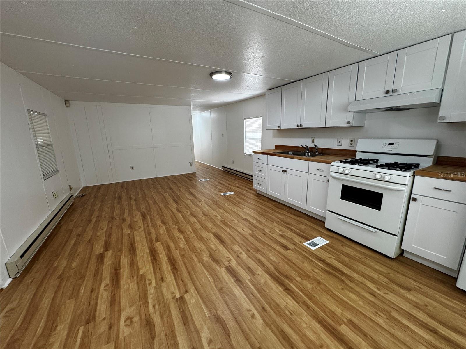 1350 COUNTY DR, TAVARES, FL, 32778