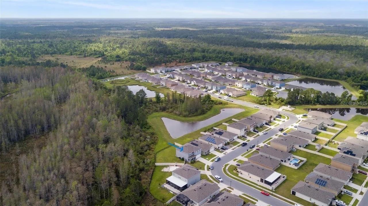 1363 FOX SQUIRREL DR, DAVENPORT, FL, 33897