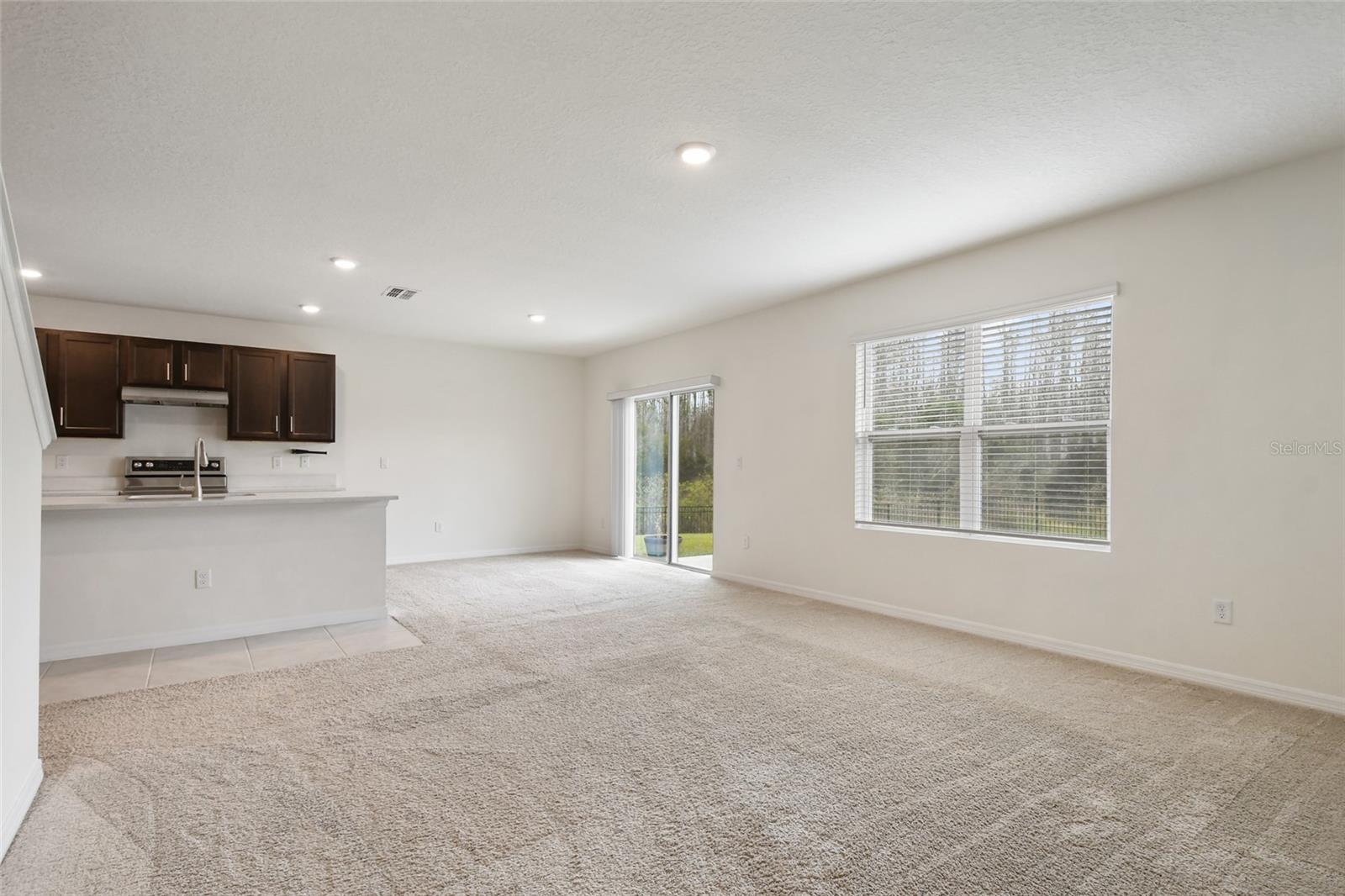 1363 FOX SQUIRREL DR, DAVENPORT, FL, 33897