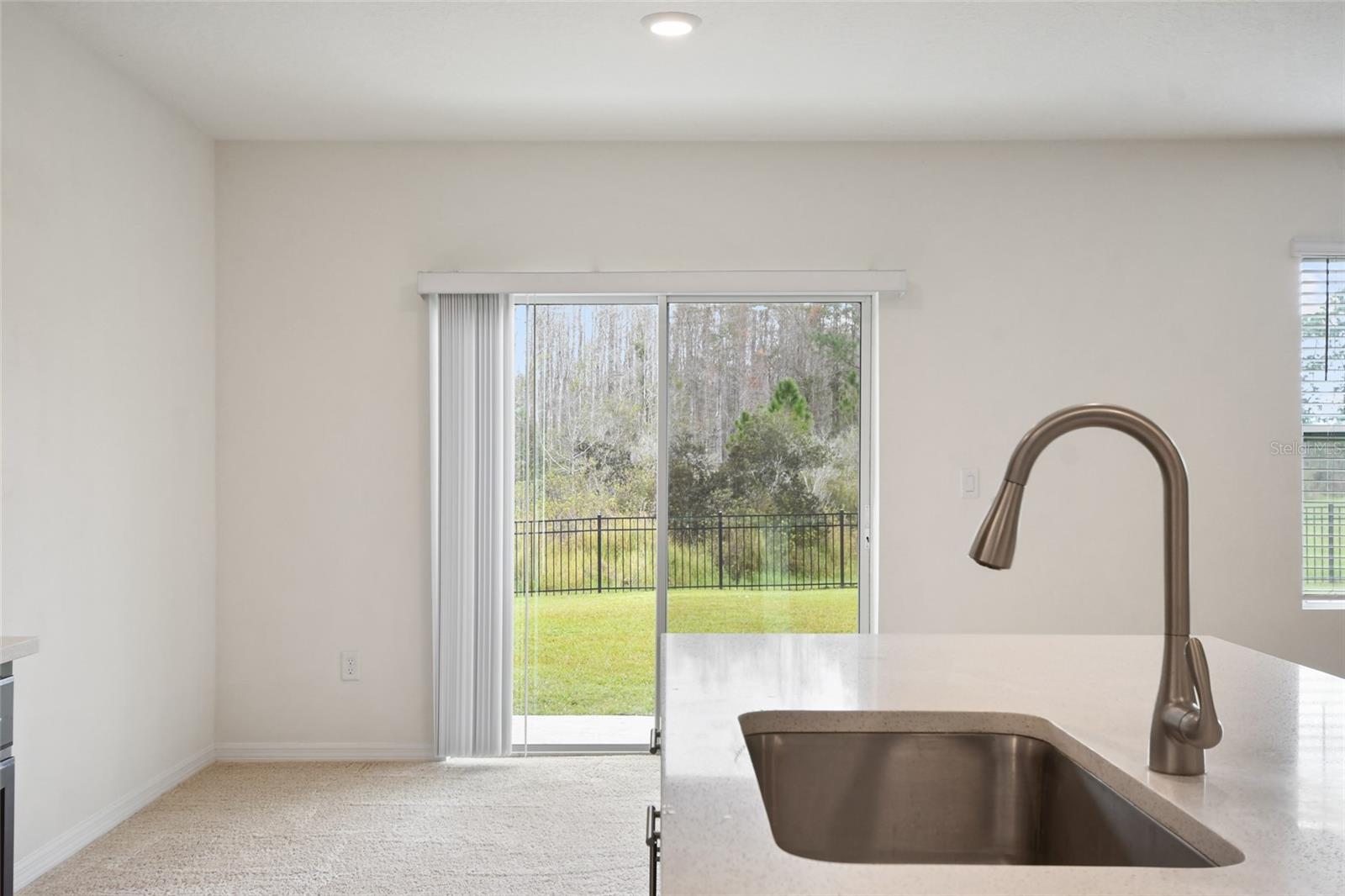 1363 FOX SQUIRREL DR, DAVENPORT, FL, 33897