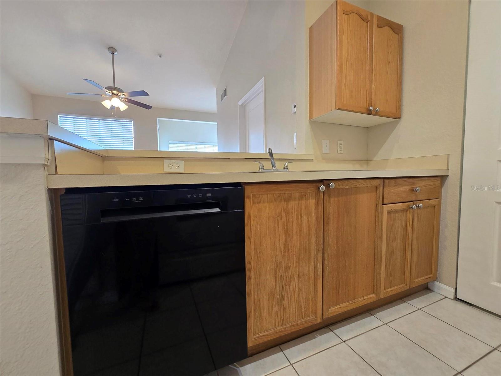 5125 PALM SPRINGS BLVD #10305, TAMPA, FL, 33647