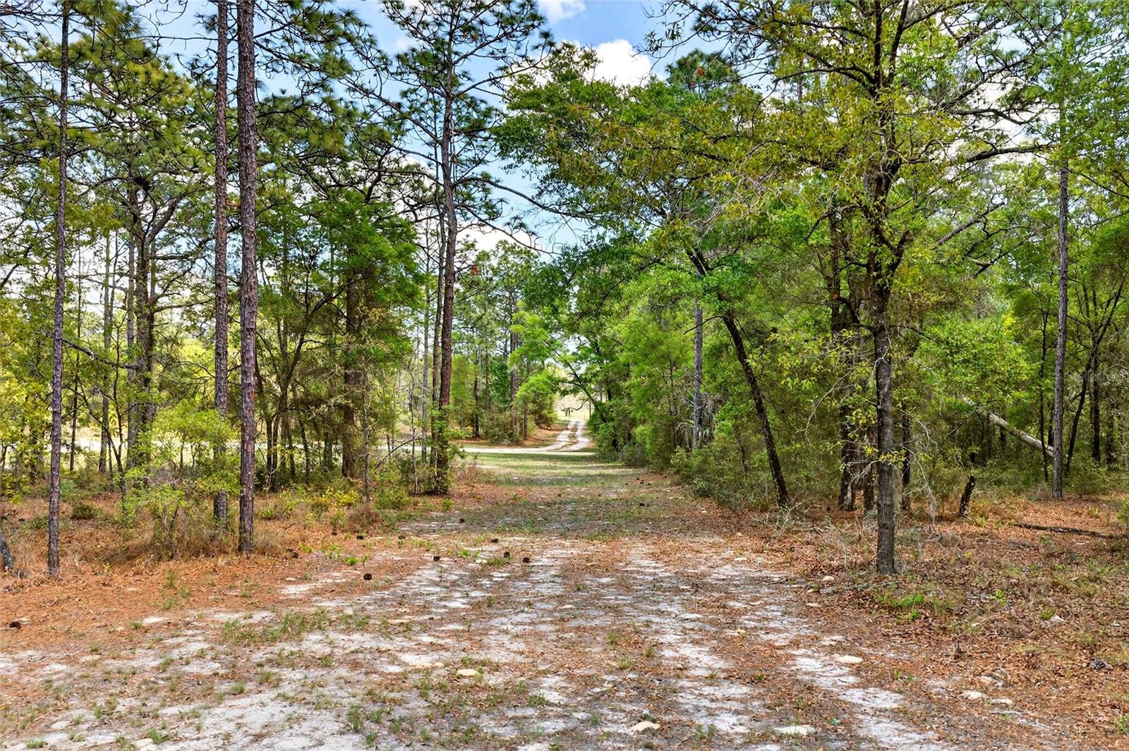 7576 N HELLER AVE, DUNNELLON, FL, 34433