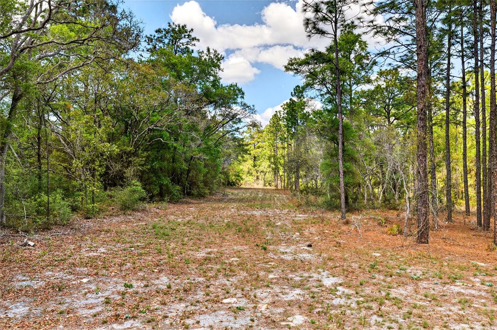 7576 N HELLER AVE, DUNNELLON, FL, 34433