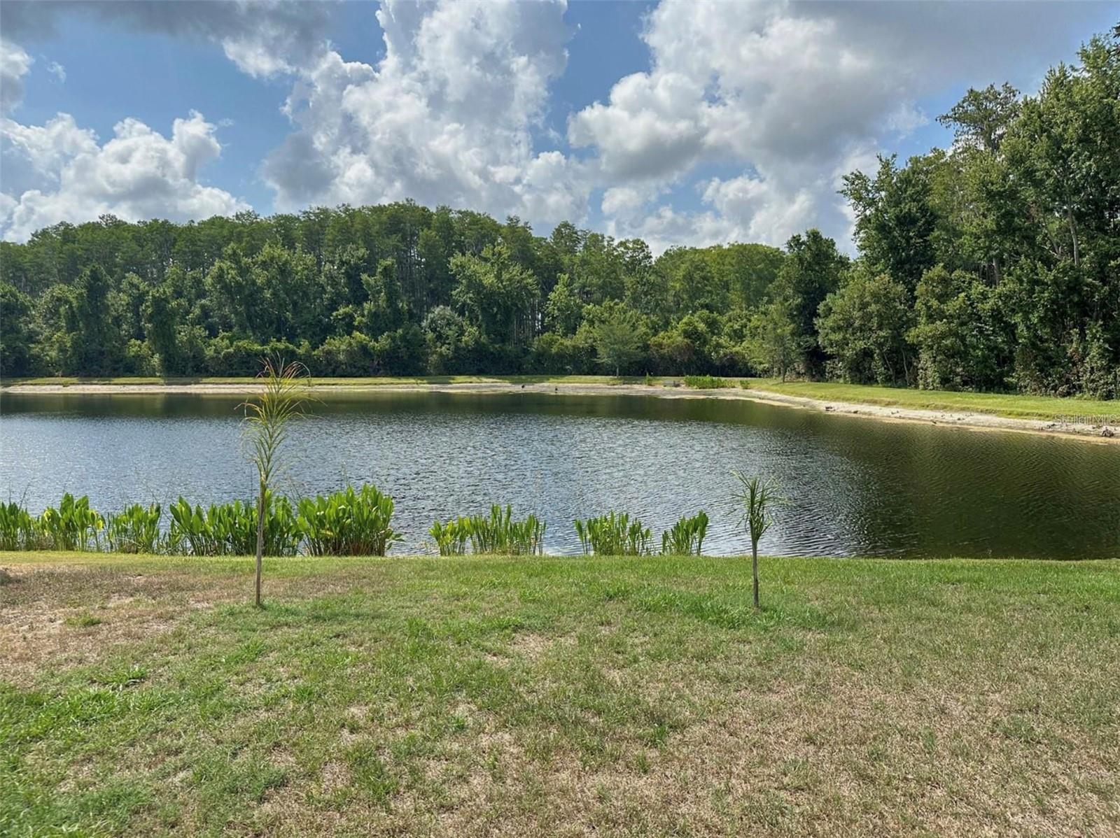 13648 OLD FLORIDA CIR, HUDSON, FL, 34669