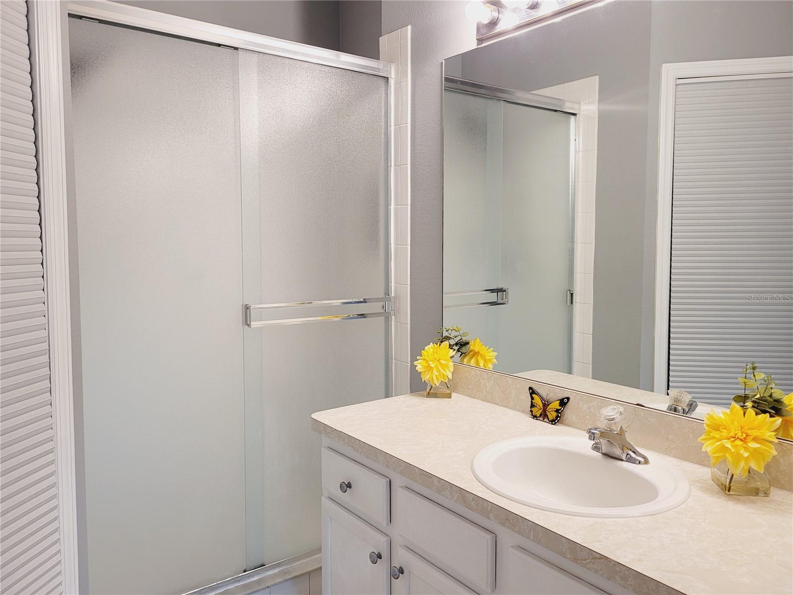 1018 TULLAMORE DR, WESLEY CHAPEL, FL, 33543