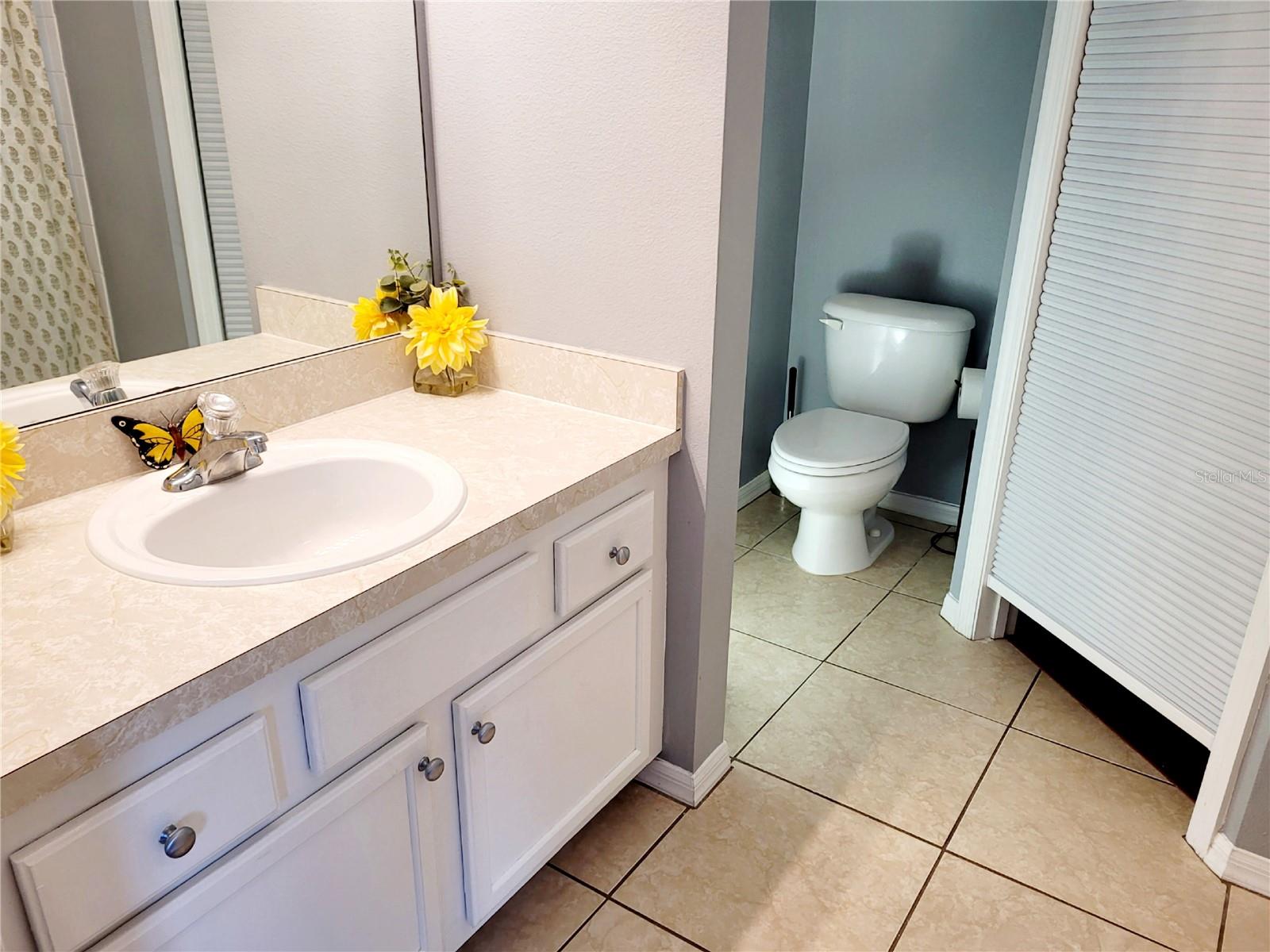 1018 TULLAMORE DR, WESLEY CHAPEL, FL, 33543