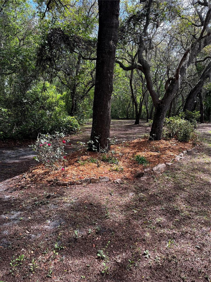 29716 DEERWOOD FARMS RD, SORRENTO, FL, 32776