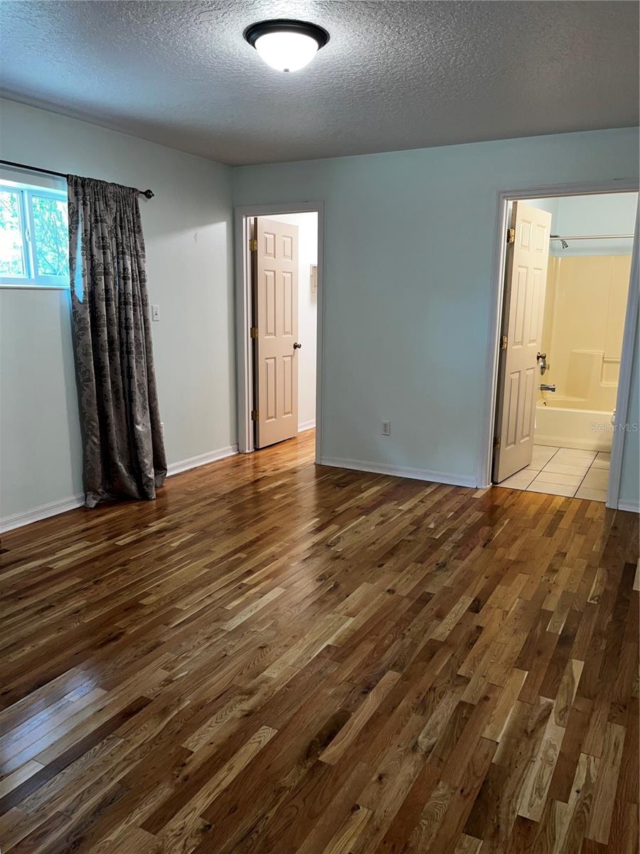 29716 DEERWOOD FARMS RD, SORRENTO, FL, 32776