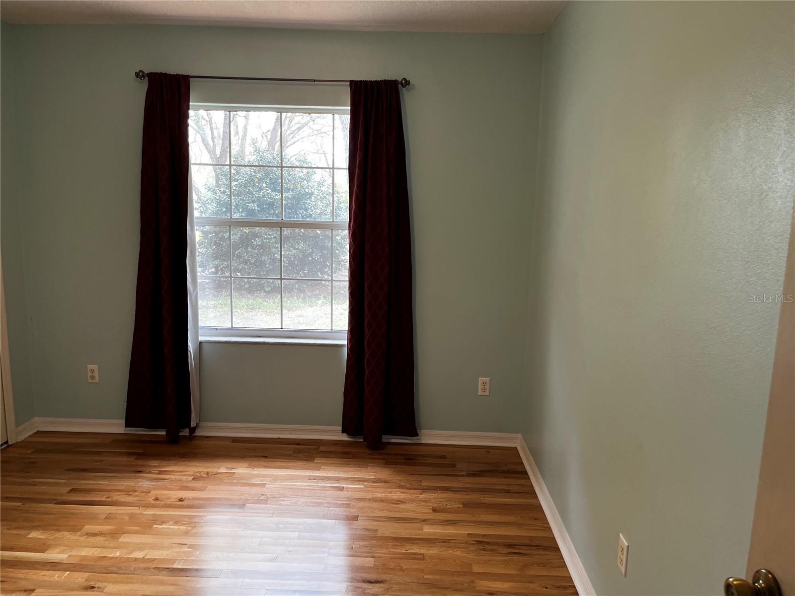 29716 DEERWOOD FARMS RD, SORRENTO, FL, 32776