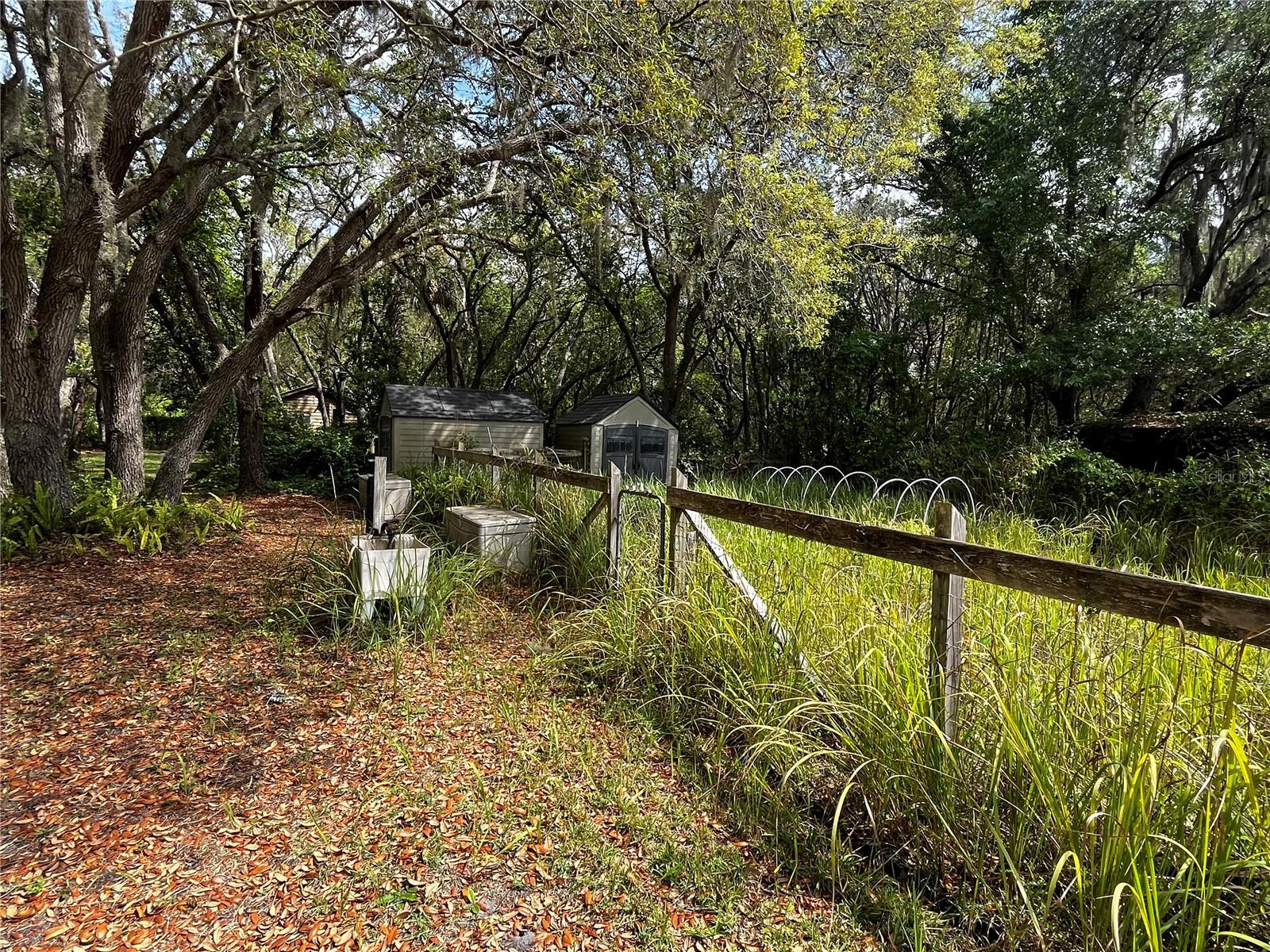 29716 DEERWOOD FARMS RD, SORRENTO, FL, 32776