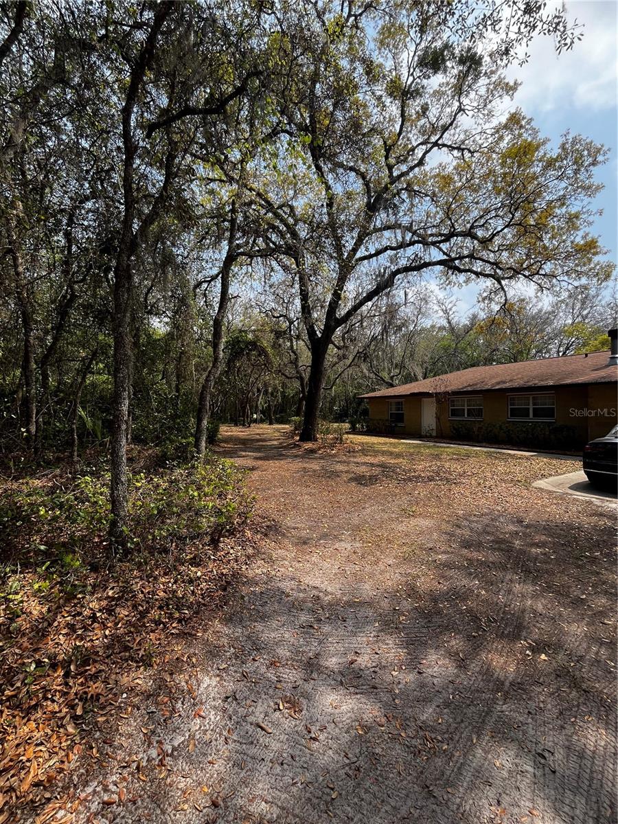 29716 DEERWOOD FARMS RD, SORRENTO, FL, 32776