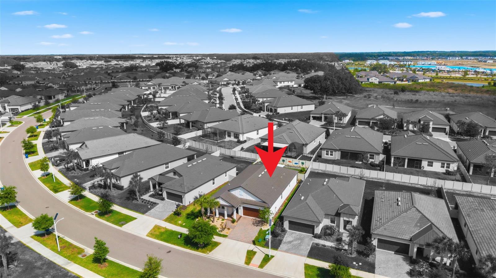 31493 CANNON RUSH DR, SAN ANTONIO, FL, 33576