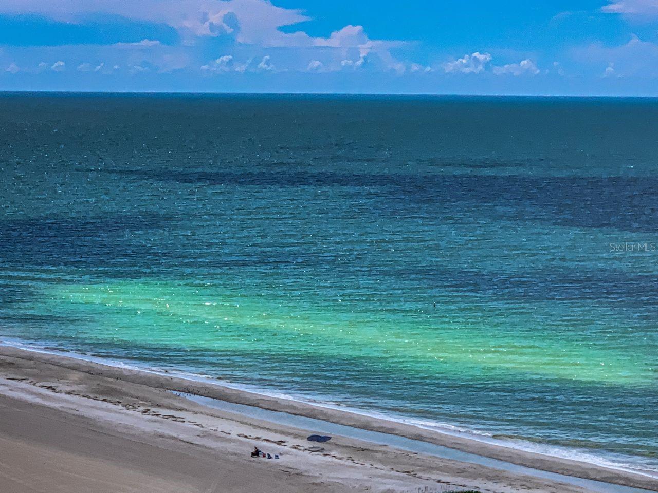 1290 GULF BLVD #2004, CLEARWATER BEACH, FL, 33767