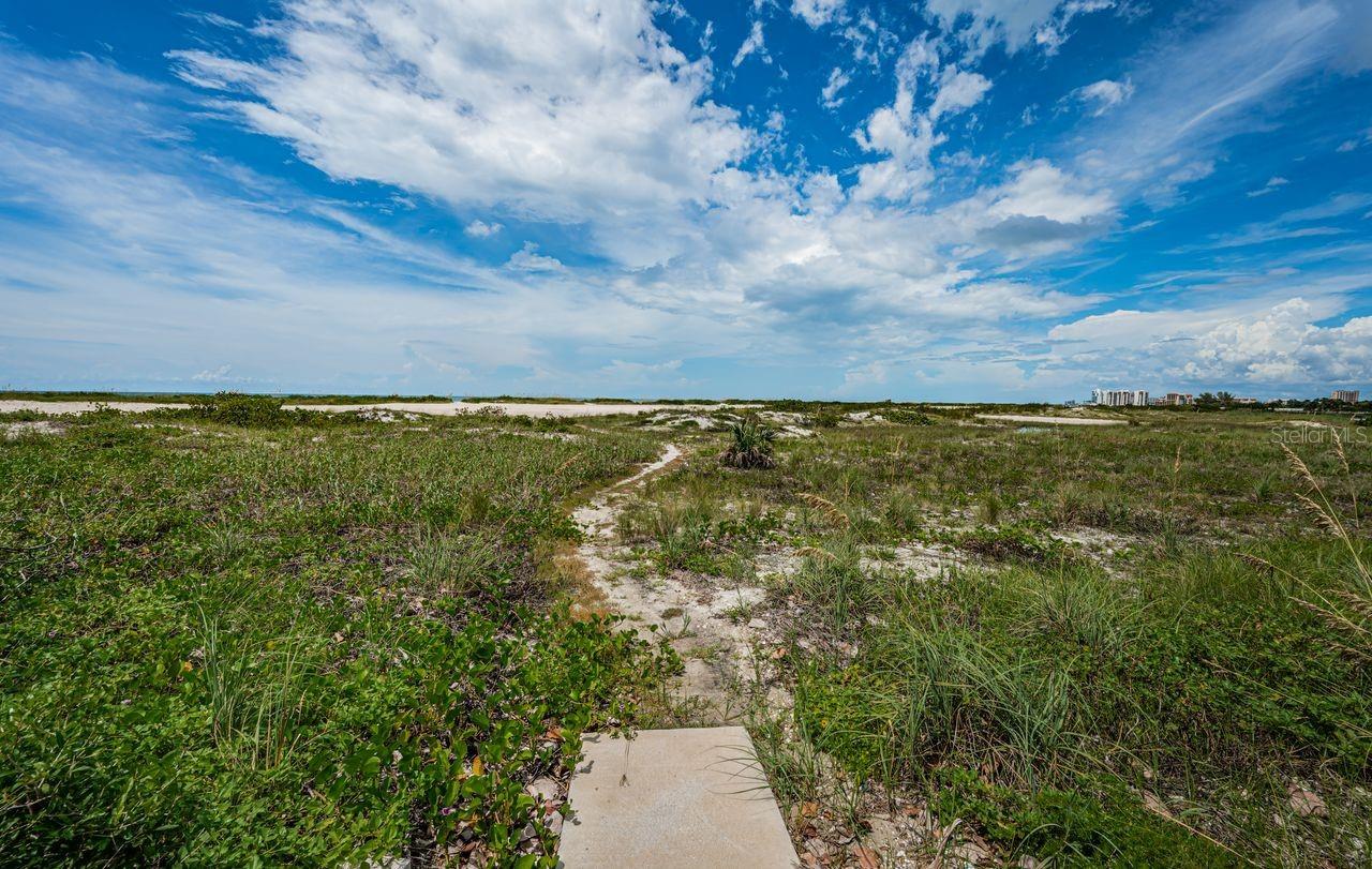 1290 GULF BLVD #2004, CLEARWATER BEACH, FL, 33767