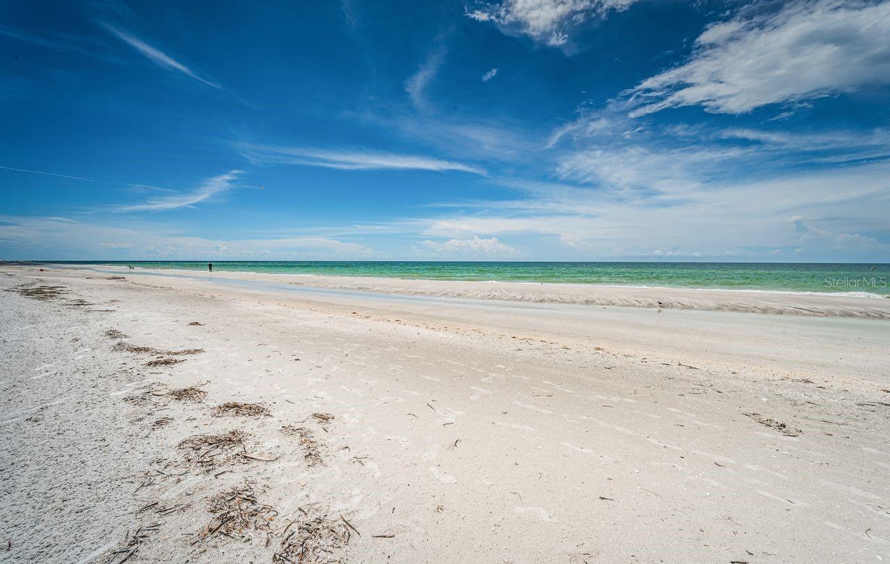 1290 GULF BLVD #2004, CLEARWATER BEACH, FL, 33767