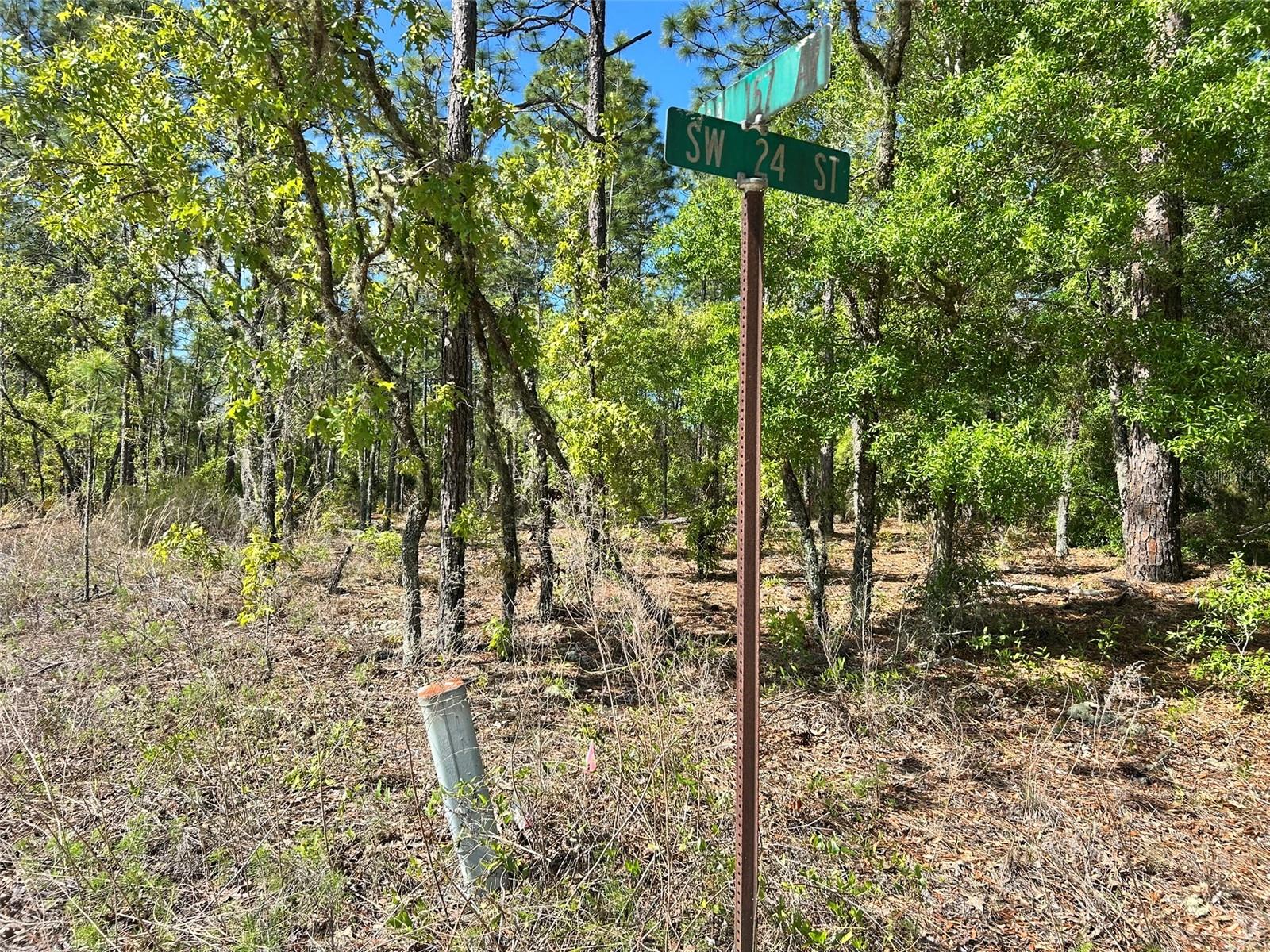4 SW 157TH AVE #4, OCALA, FL, 34481
