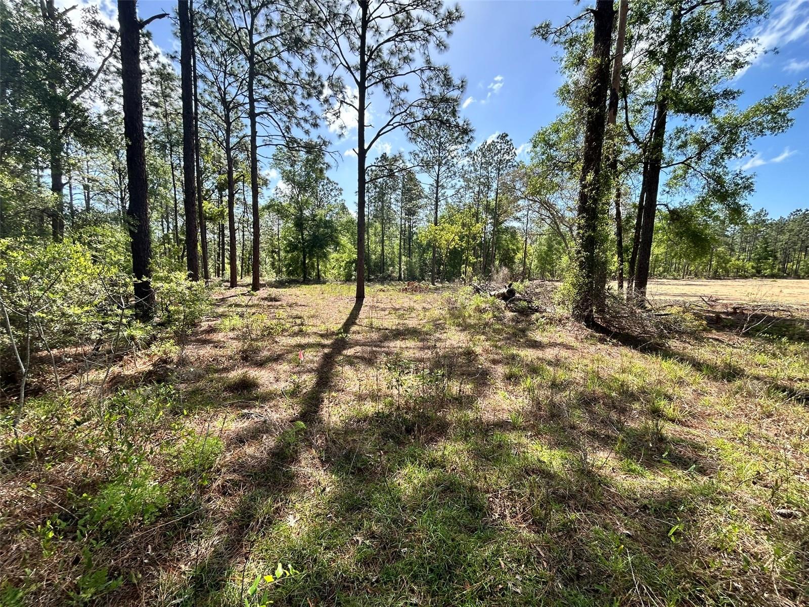4 SW 157TH AVE #4, OCALA, FL, 34481