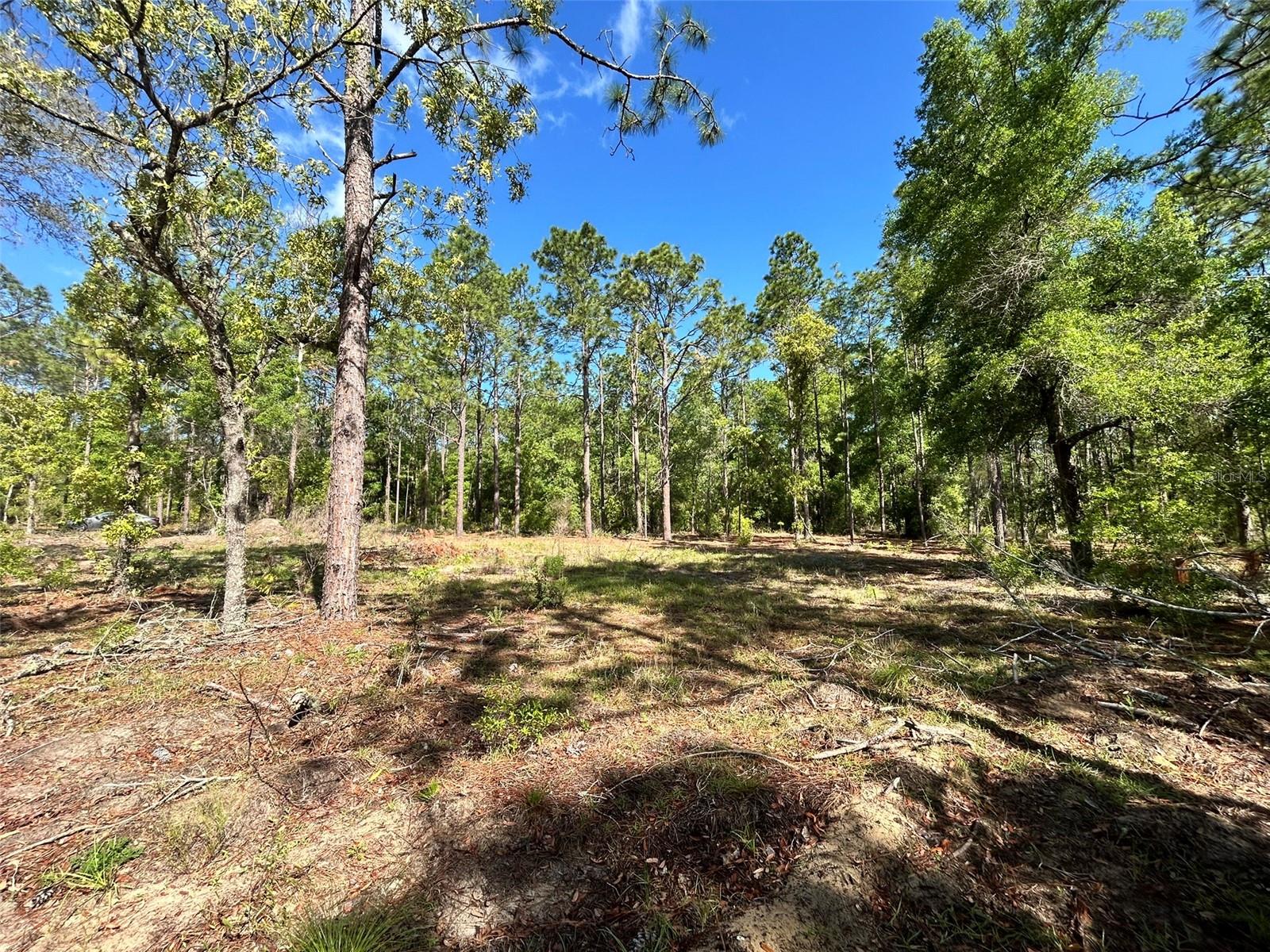4 SW 157TH AVE #4, OCALA, FL, 34481