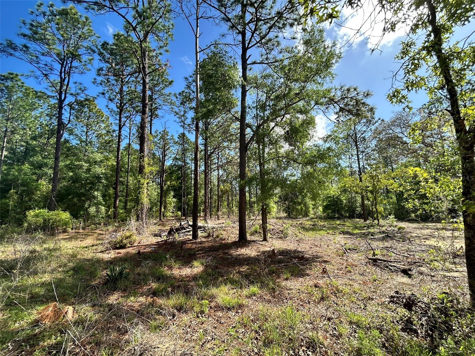 4 SW 157TH AVE #4, OCALA, FL, 34481