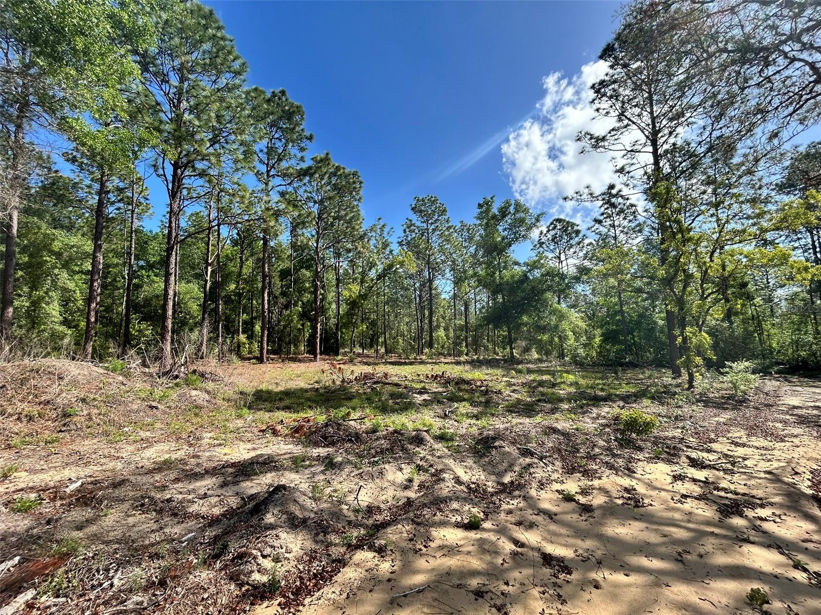 4 SW 157TH AVE #4, OCALA, FL, 34481