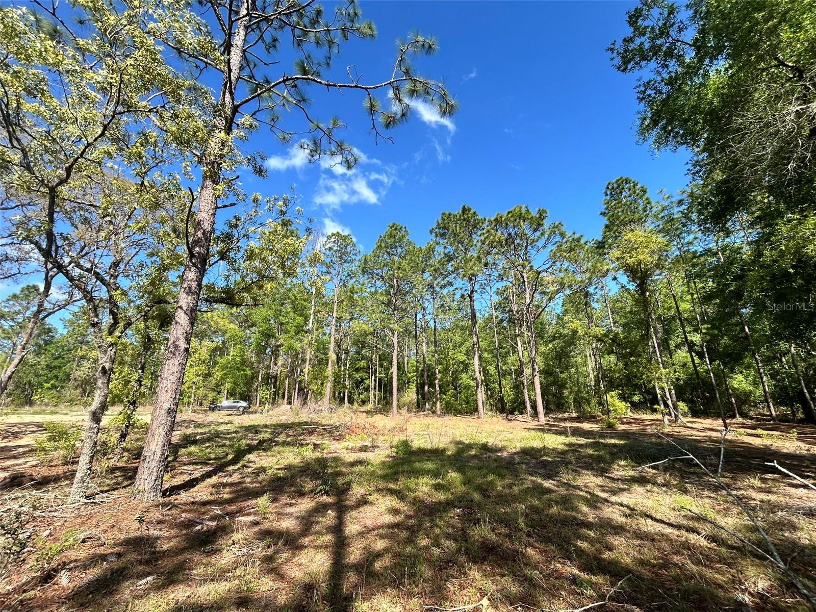 4 SW 157TH AVE #4, OCALA, FL, 34481