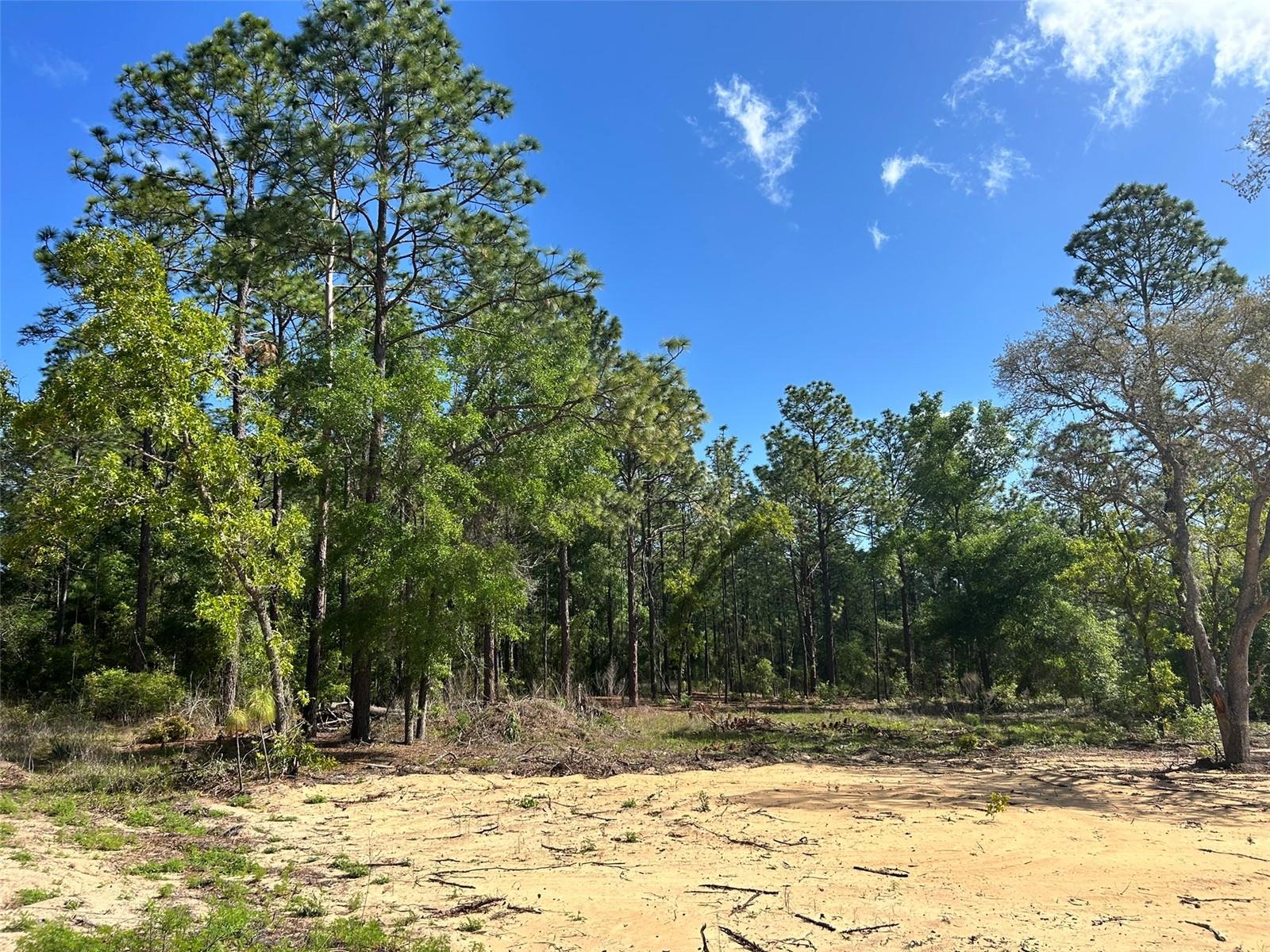 4 SW 157TH AVE #4, OCALA, FL, 34481