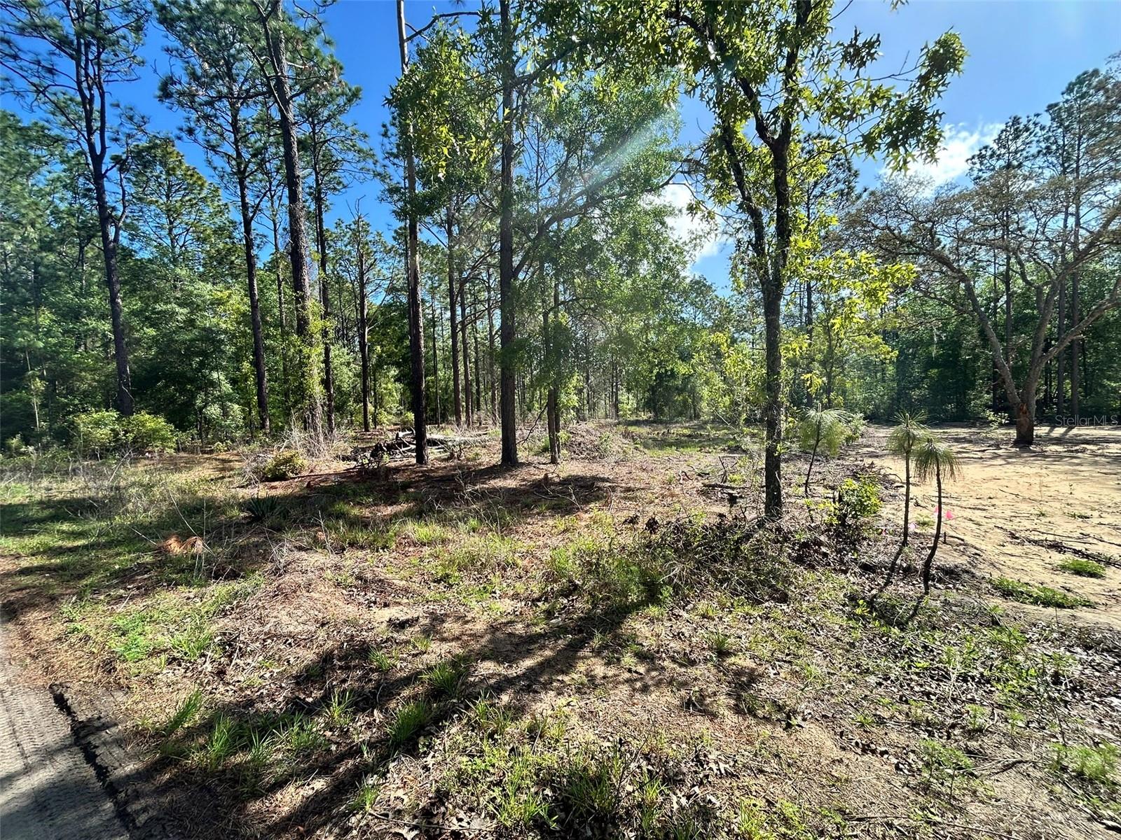 4 SW 157TH AVE #4, OCALA, FL, 34481