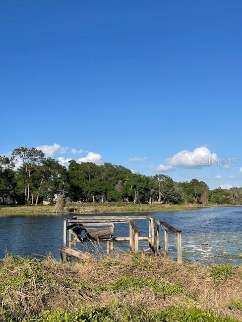 7439 MOTT AVE, ORLANDO, FL, 32810