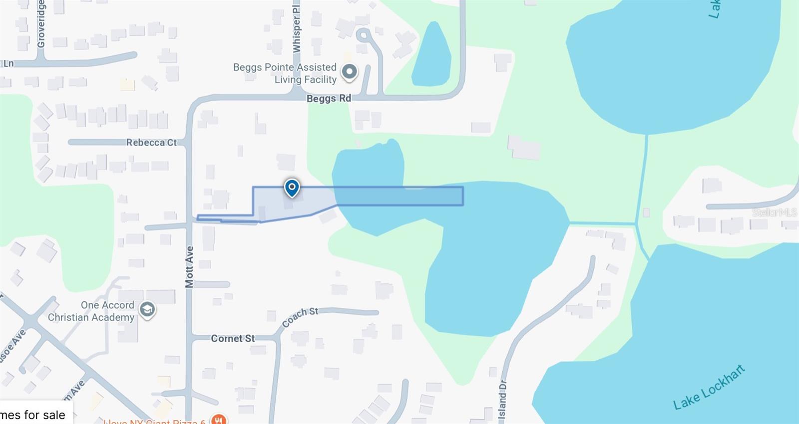 7439 MOTT AVE, ORLANDO, FL, 32810
