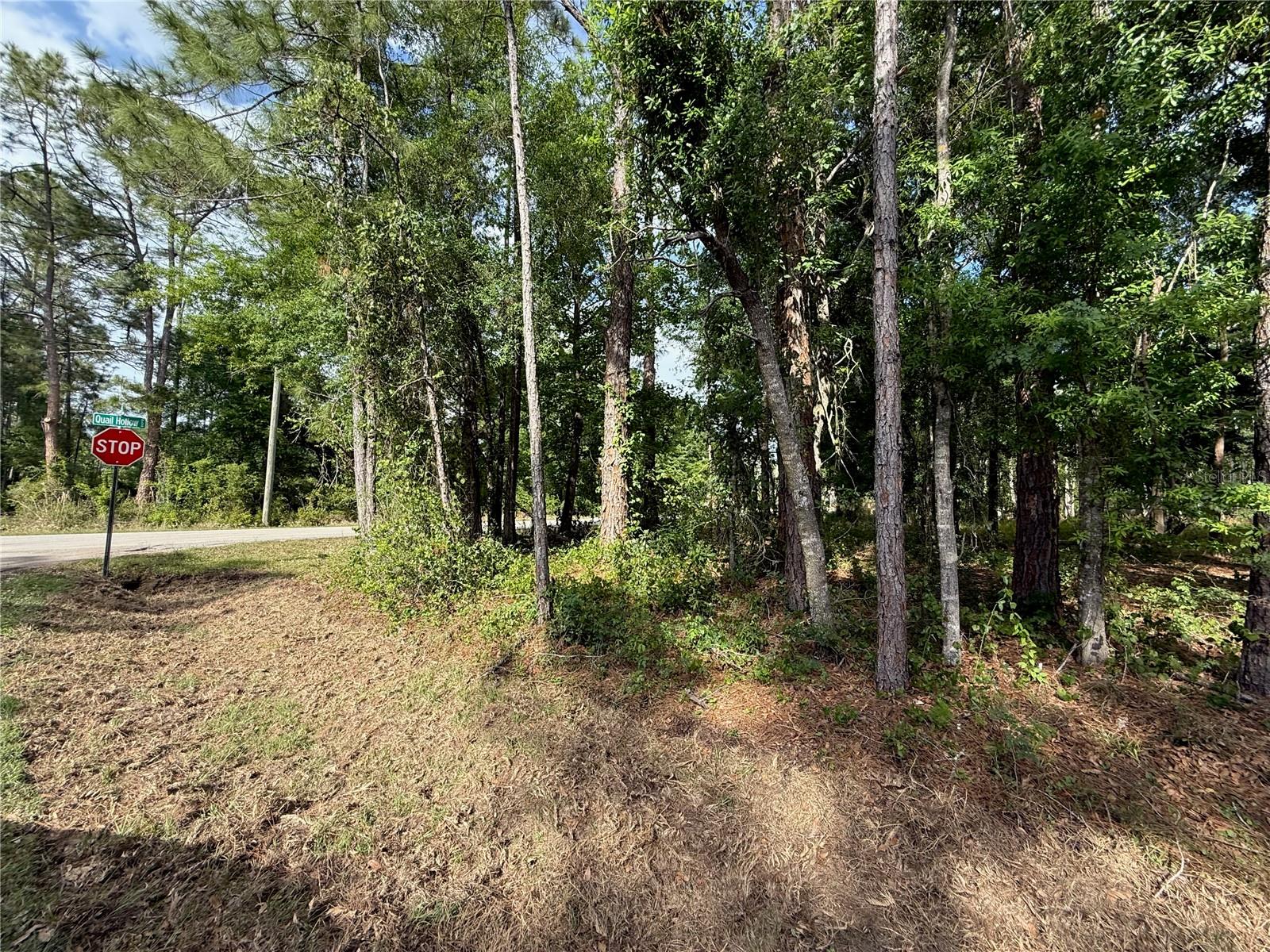 QUAIL HOLLOW BLVD, WESLEY CHAPEL,, FL, 33544