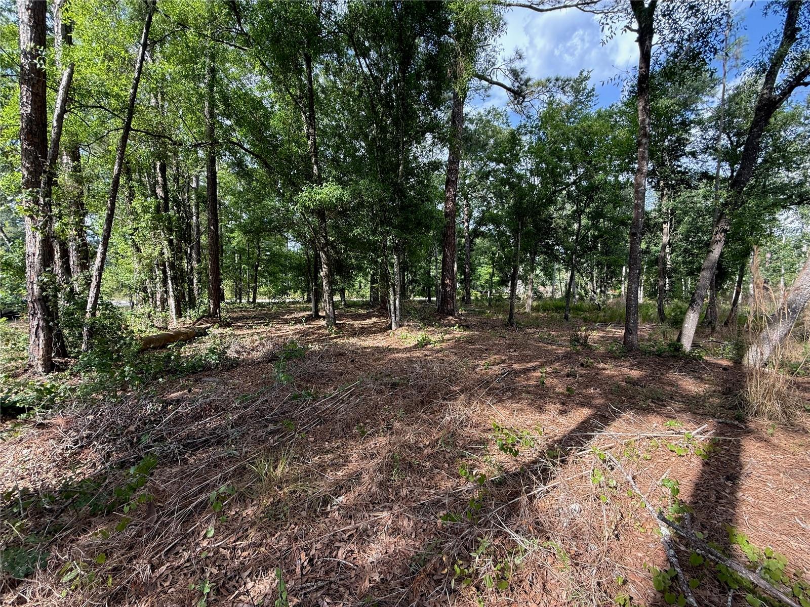 QUAIL HOLLOW BLVD, WESLEY CHAPEL,, FL, 33544