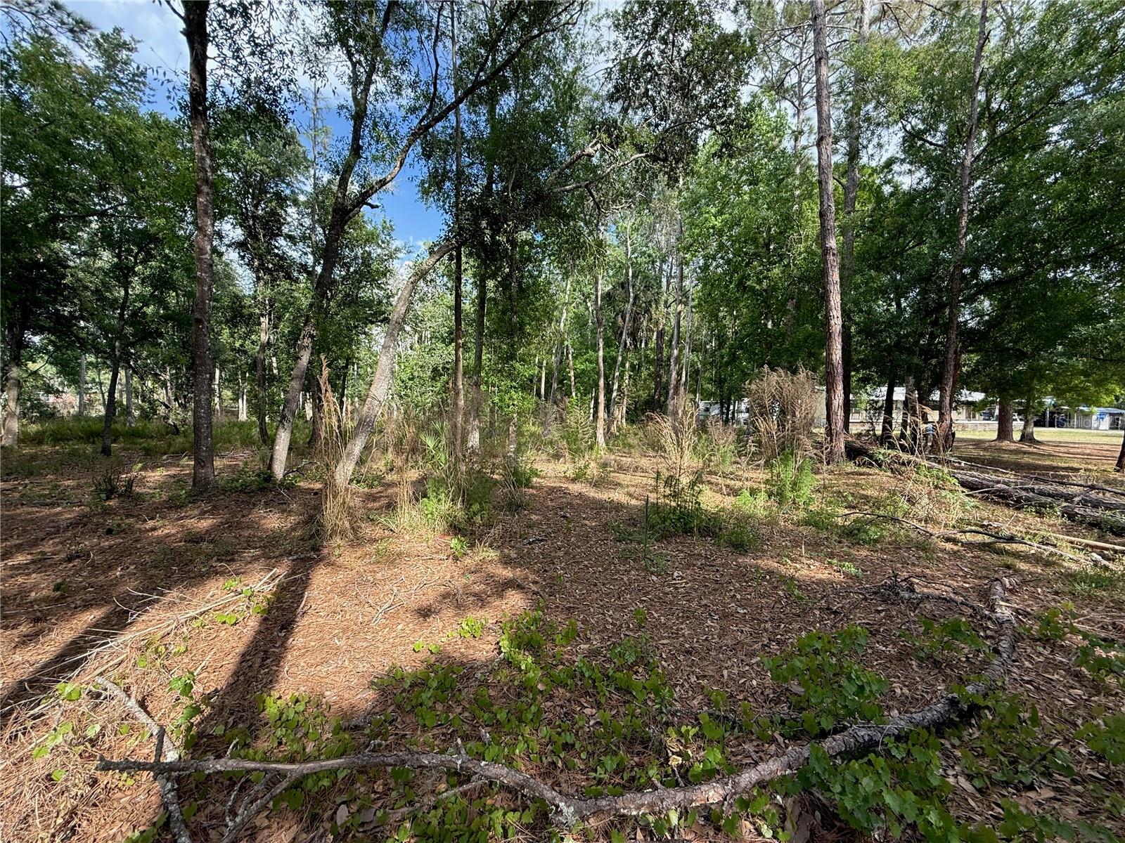QUAIL HOLLOW BLVD, WESLEY CHAPEL,, FL, 33544