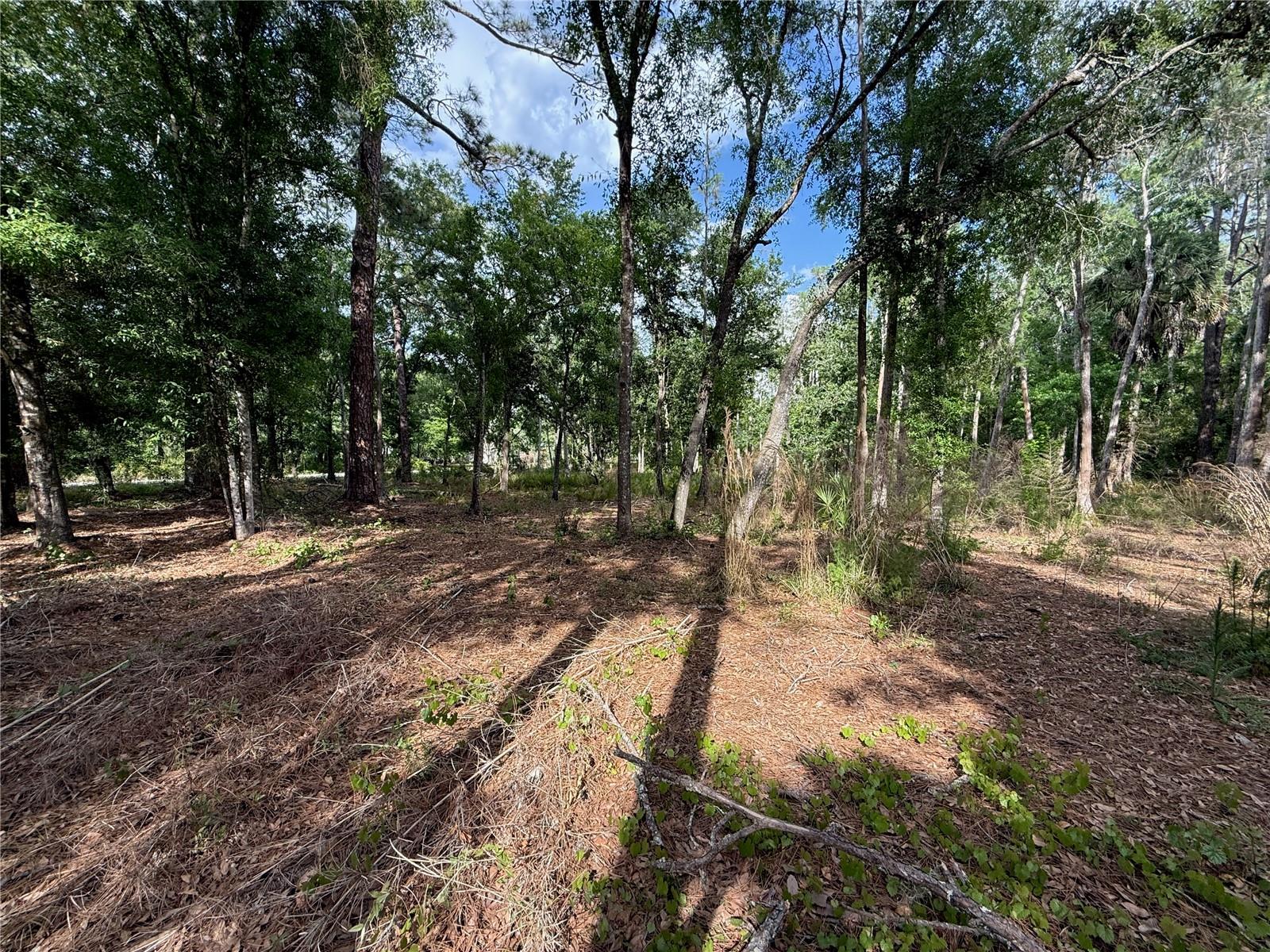 QUAIL HOLLOW BLVD, WESLEY CHAPEL,, FL, 33544