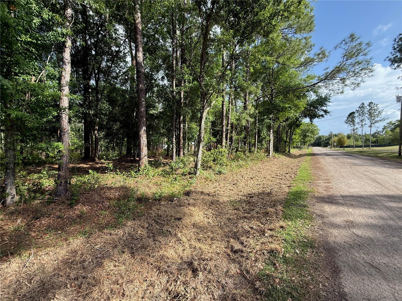 QUAIL HOLLOW BLVD, WESLEY CHAPEL,, FL, 33544