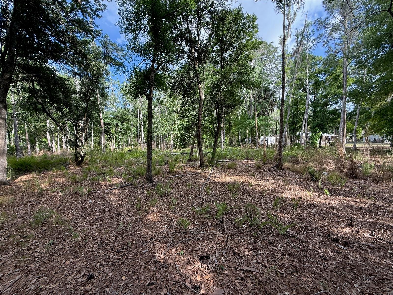QUAIL HOLLOW BLVD, WESLEY CHAPEL,, FL, 33544