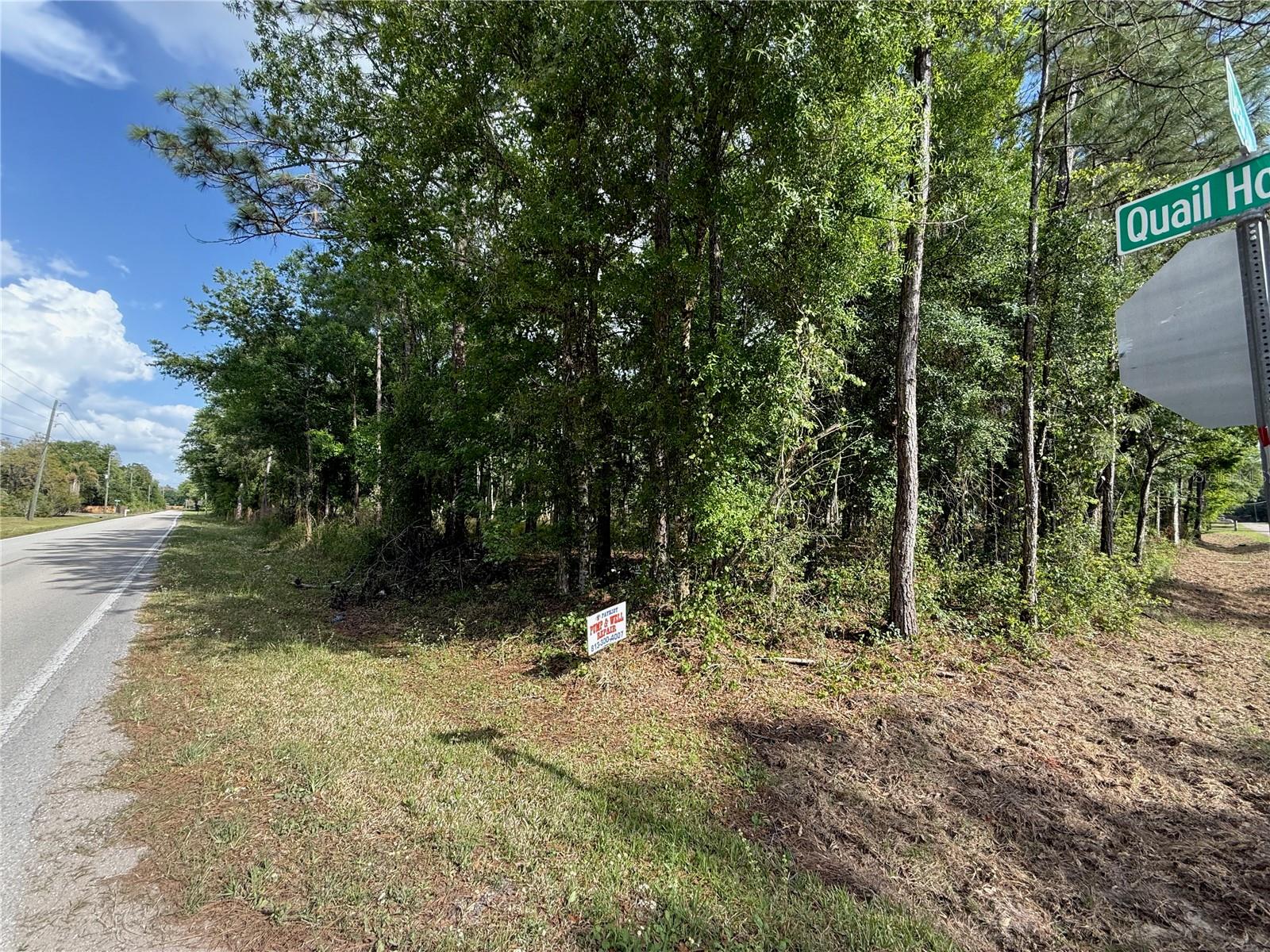 QUAIL HOLLOW BLVD, WESLEY CHAPEL,, FL, 33544