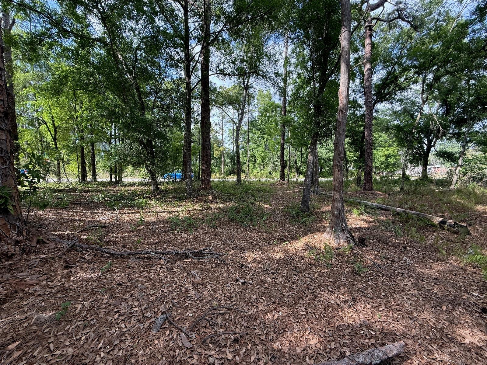 QUAIL HOLLOW BLVD, WESLEY CHAPEL,, FL, 33544
