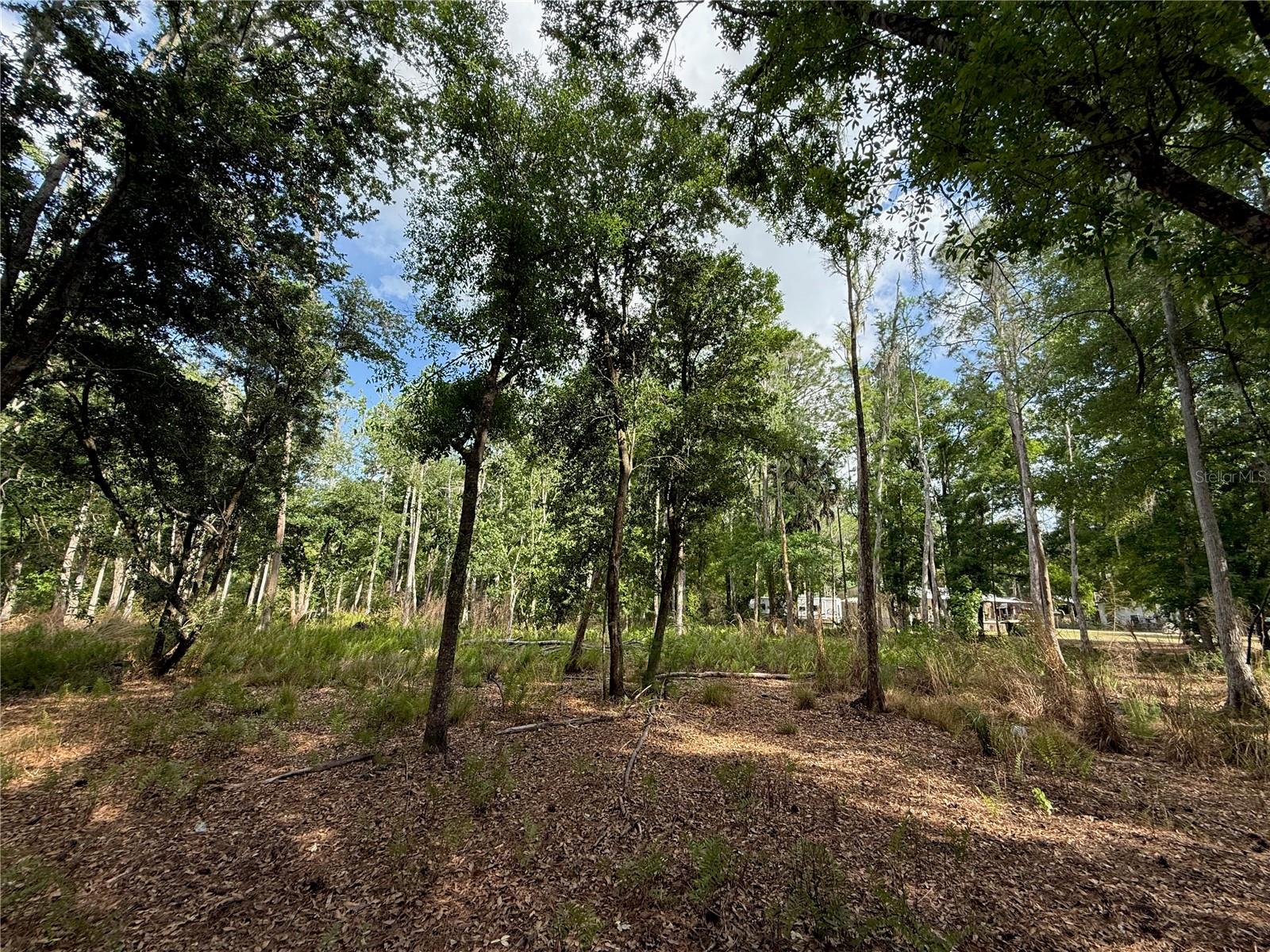 QUAIL HOLLOW BLVD, WESLEY CHAPEL,, FL, 33544