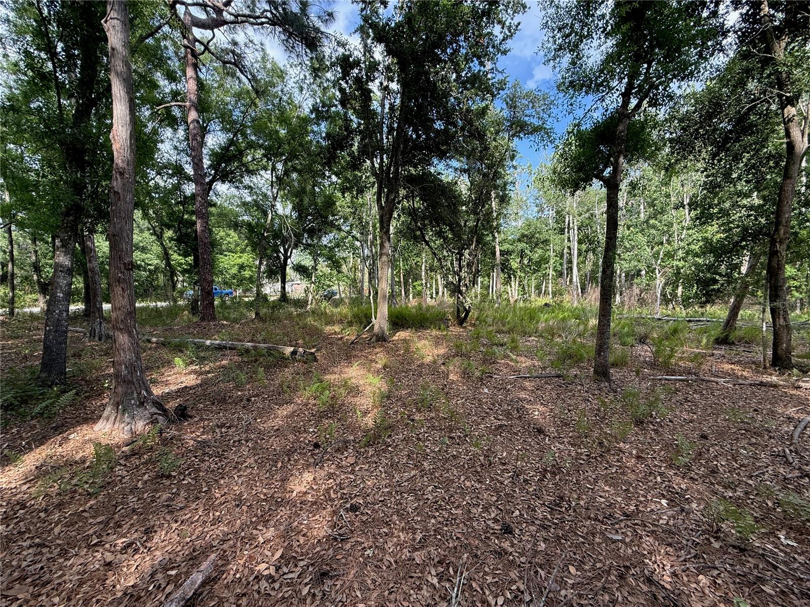 QUAIL HOLLOW BLVD, WESLEY CHAPEL,, FL, 33544