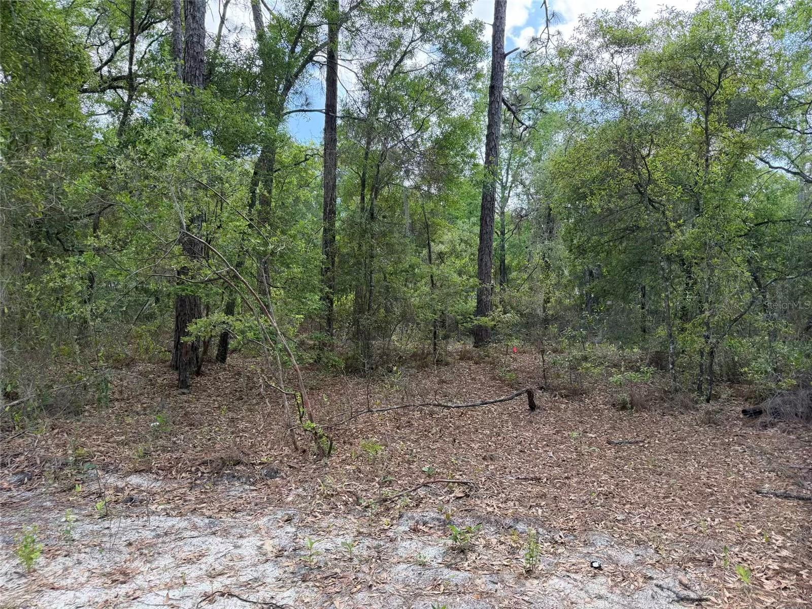 105 RACE ST, HAWTHORNE, FL, 32640