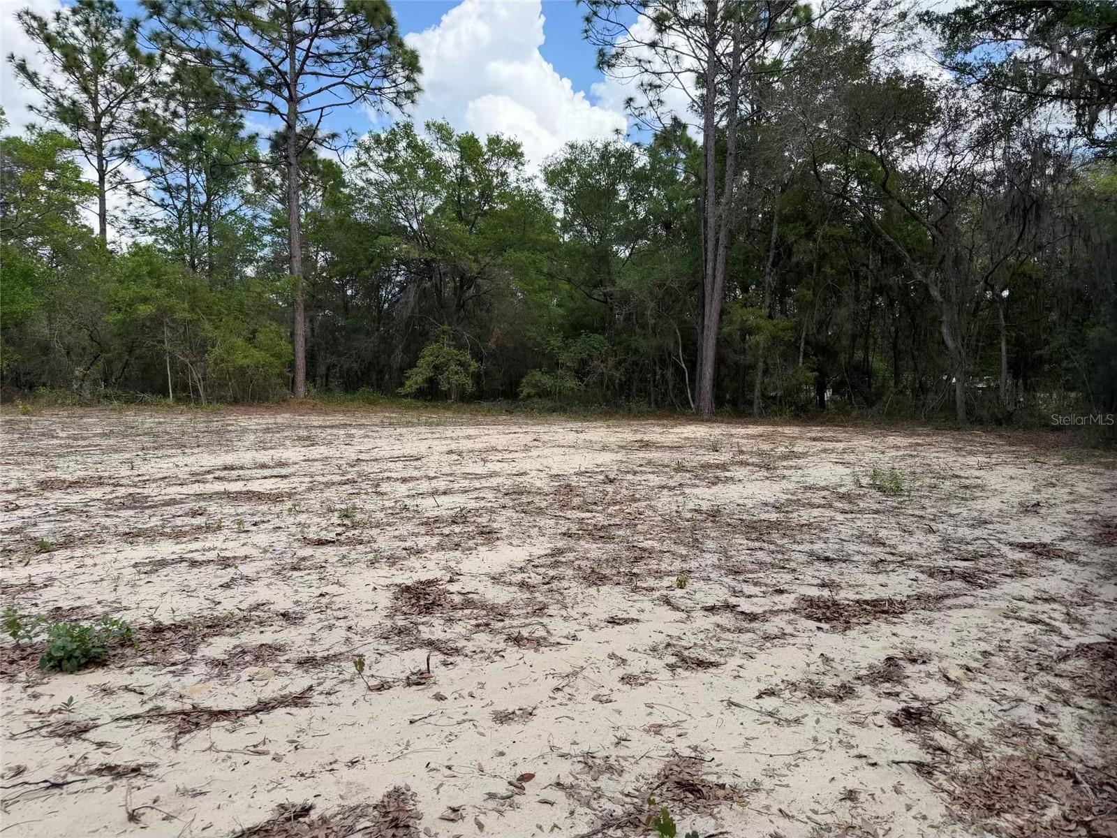 105 RACE ST, HAWTHORNE, FL, 32640