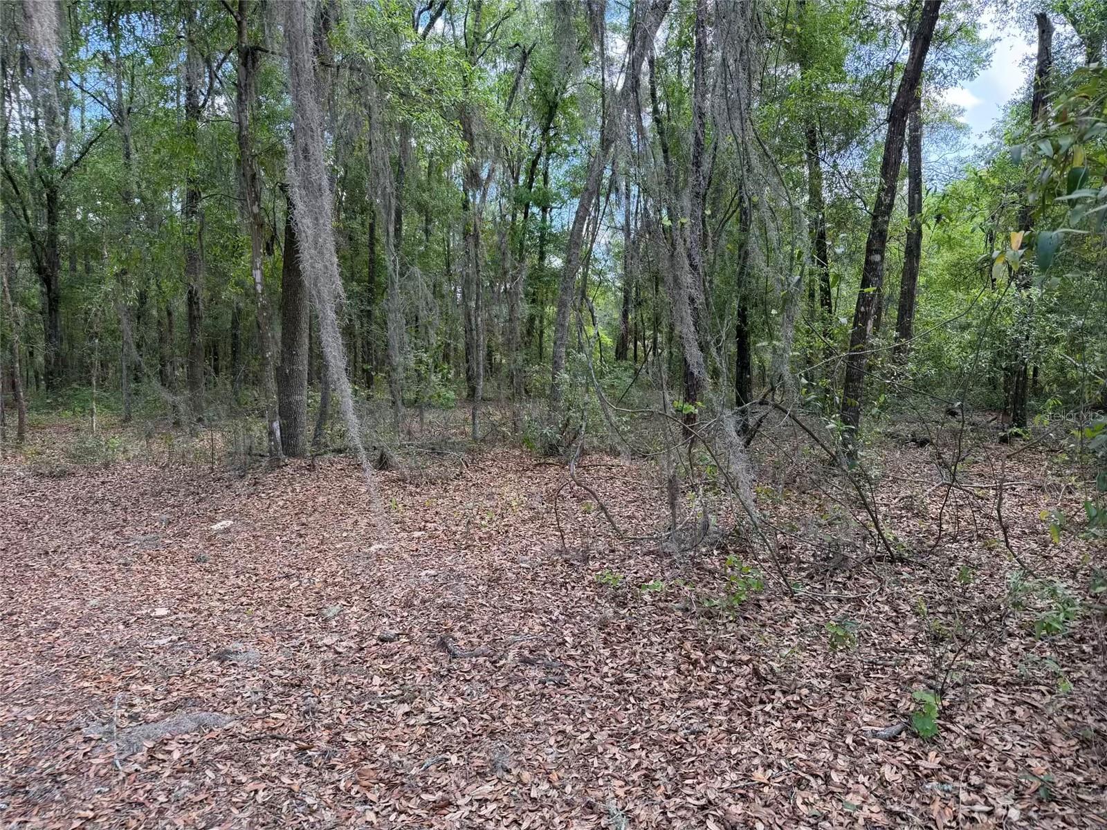 105 RACE ST, HAWTHORNE, FL, 32640