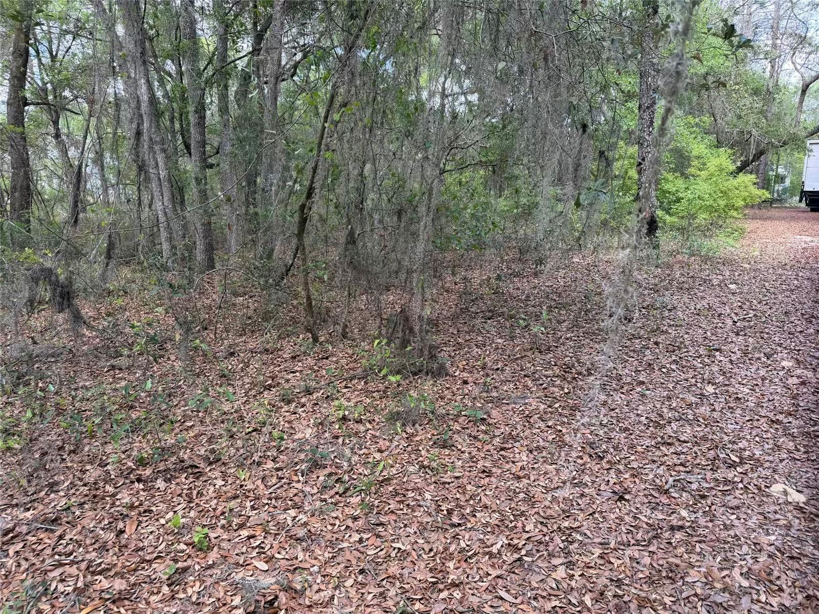 105 RACE ST, HAWTHORNE, FL, 32640