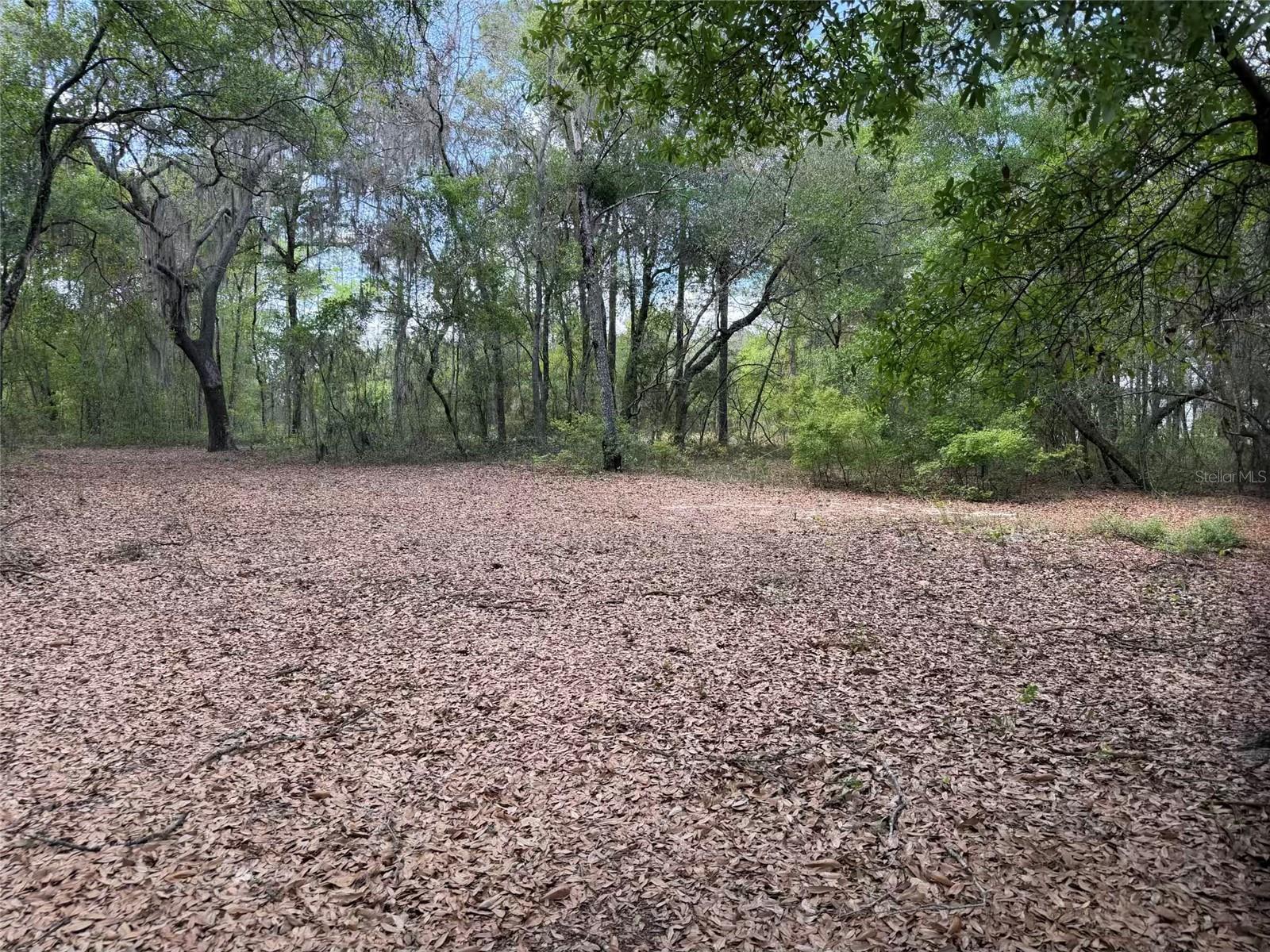 105 RACE ST, HAWTHORNE, FL, 32640